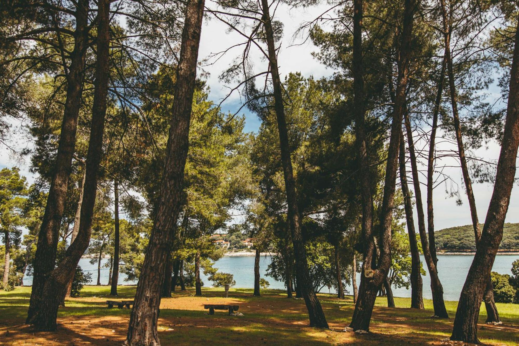 Maistra Camping Koversada Uncovered Naturist Pitches Vrsar Kültér fotó